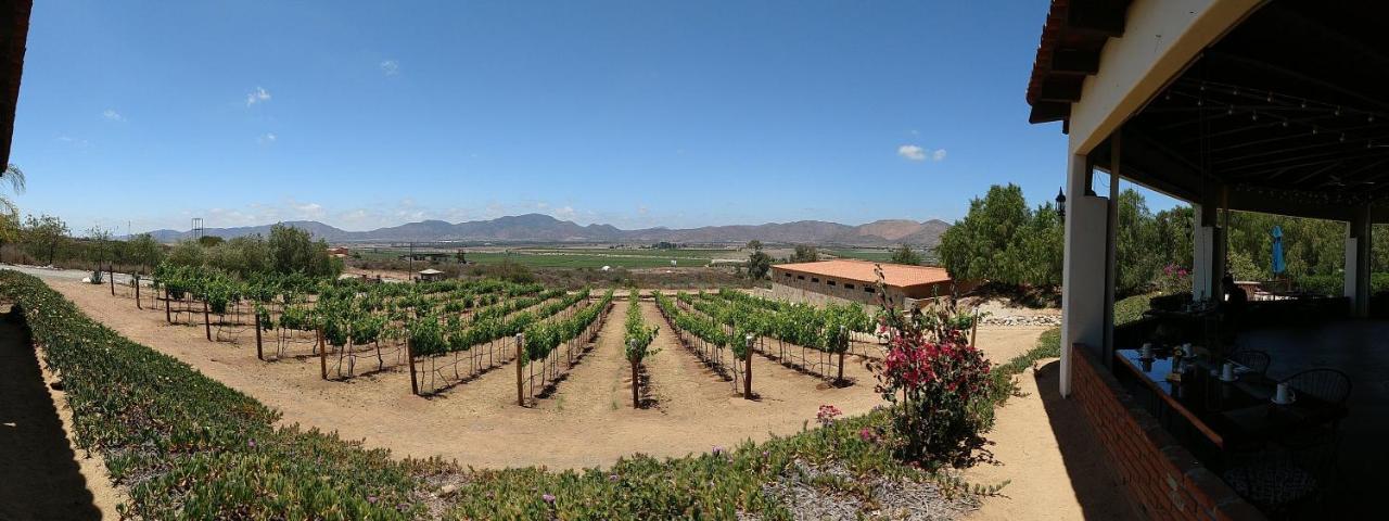 Hacienda Guadalupe Hotel מראה חיצוני תמונה